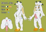 anthro anus butt butt_focus butt_tattoo front_view hair long_ears male rear_view solo spiky_hair standing tattoo mhicky93 nintendo pokemon jake_the_raboot generation_8_pokemon lagomorph mammal pokemon_(species) raboot hi_res model_sheet