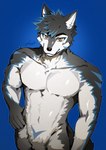 abs anthro black_body black_fur blue_claws blue_eyes blue_markings claws fur male markings muscular muscular_male solo white_body yellow_eyes kinumaji thunderrangers archermagnum canid canine canis mammal wolf hi_res