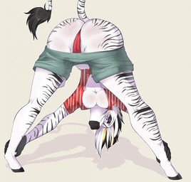 anthro ass_up athletic_wear biped bottomwear breasts butt clothing female female_anthro genitals gym_bottomwear gym_shorts hooves looking_at_viewer obscured_inner_labia shorts solo stretching stretching_butt stretching_legs stripes unguligrade vulva vulva_slip miphassl equid equine mammal zebra hi_res