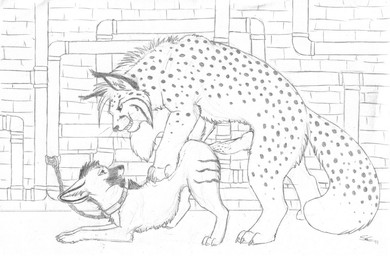 all_fours ambiguous_gender animal_genitalia animal_penis ass_up barbed_canine_penis bound canine_genitalia canine_penis chain chained collar digitigrade doggystyle duo ear_tuft erection feline_genitalia feline_penis feral feral_on_feral from_behind_position fur genitals hybrid_genitalia hybrid_penis imminent_sex interspecies knot leash lying male nude on_front penile_spines penis quadruped sex size_difference tail tuft sabretoothed_ermine canid canine felid feline lynx mammal maned_wolf 2011 graphite_(artwork) greyscale monochrome sketch traditional_media_(artwork)