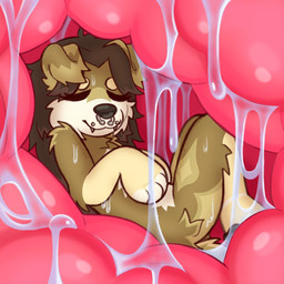 ambiguous_gender ambiguous_prey anthro anthro_prey bodily_fluids brown_body brown_fur brown_hair facial_piercing female fluffy fully_inside fur hair inside inside_stomach internal multicolored_body multicolored_fur nose_piercing organs piercing pink_insides saliva sleeping slime solo stomach sweat sweatdrop unseen_pred vore willing_prey relishcatpie canid canine canis domestic_dog mammal 1:1 hi_res trans_(lore)