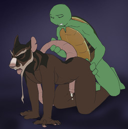 age_difference ahegao all_fours anal anal_penetration anthro brown_body brown_fur doggystyle duo eyes_closed flaccid foreskin from_behind_position fur genitals hand_on_butt looking_pleasured male male/male male_penetrated male_penetrating male_penetrating_male master nude older_penetrated open_mouth penetration penis raised_tail sex son_penetrating_father tail tail_grab tongue jailbird teenage_mutant_ninja_turtles teenage_mutant_ninja_turtles_(2012) leonardo_(tmnt) master_splinter brown_rat mammal murid murine rat reptile rodent scalie turtle digital_media_(artwork) adopted_(lore) adopted_son_(lore) adoptive_father_(lore) pseudo_incest_(lore)