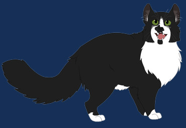 ambiguous_gender amputee black_body black_fur black_nose digitigrade disability feral fur green_eyes grey_inner_ear inner_ear_fluff looking_up missing_leg open_mouth paws pink_tongue simple_background single_amputee solo standing tail teeth tongue transparent_background tuft white_body white_fur white_inner_ear_fluff sebdoggo domestic_cat felid feline felis mammal 2018 aliasing alpha_channel digital_drawing_(artwork) digital_media_(artwork) flat_colors full-length_portrait microsoft_paint_(artwork) portrait