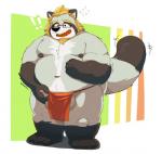 anthro asian_clothing balls belly blush clothing east_asian_clothing eyewear fundoshi genitals glasses humanoid_hands japanese_clothing male moobs navel nipples overweight overweight_anthro overweight_male solo underwear wardrobe_malfunction bhtoss sweet_leaves colson_grainger canid canine mammal raccoon_dog tanuki 2018 absurd_res hi_res