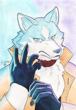 5_fingers anthro blue_body blue_eyes blue_fur clothing coat collar fingers fluffy front_view fur gloves handwear looking_at_viewer male putting_on_gloves solo standing stare topwear white_body white_fur some_(someone) brand_new_animal studio_trigger shirou_ogami canid canine canis mammal wolf absurd_res hi_res painting_(artwork) watercolor_(artwork)