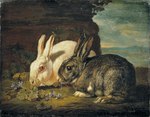 ambiguous_gender brown_body brown_fur duo feral fur leaf long_ears no_sclera nude quadruped whiskers white_body white_fur jan_fyt public_domain lagomorph leporid mammal rabbit 17th_century absurd_res ancient_art hi_res oil_painting_(artwork) painting_(artwork) traditional_media_(artwork)