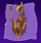 anatomically_correct anatomically_correct_anus anatomically_correct_genitalia anatomically_correct_pussy animal_genitalia animal_pussy anus bedroom_eyes big_pussy black_anus black_nose black_pawpads black_pussy blonde_hair butt canine_genitalia canine_pussy collar eyeshadow female female_feral feral fur genitals hair half-closed_eyes inviting legs_up looking_at_viewer lying makeup multi_nipple narrowed_eyes nipples on_back on_pillow painted_claws pawpads pillow presenting presenting_anus presenting_pussy purple_background pussy quadruped seductive short_tail sidecut simple_background smile solo tail text halbean pepper_(halbean) canid canine canis dobermann domestic_dog mammal pinscher 2019 absurd_res artist_name digital_media_(artwork) hi_res