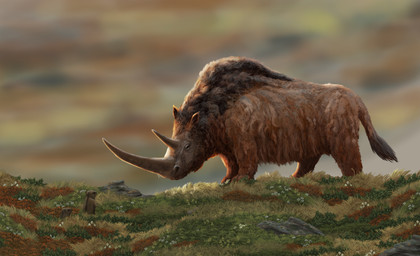 ambiguous_gender brown_body brown_fur feral fur grass group plant quadruped rock semi-realistic steppe trio wool_(fur) paleopete ground_squirrel mammal marmot prehistoric_species rhinoceros rodent sciurid woolly_rhinoceros 2023 absurd_res detailed digital_media_(artwork) digital_painting_(artwork) hi_res painting_(artwork)