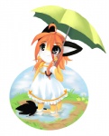 anthro barefoot black_eyes chibi clothed clothing dress feet female flower plant puddle solo tail tail_tuft tuft umbrella luna777 taratsu_(character) moondog