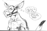 abs angry anthro ball_gag chest_tuft clothed clothing gag gagged humor looking_at_viewer male muscular nipples pecs simple_background solo straps text thought_bubble topless tuft white_background kangaroo-boy kangaroo macropod mammal marsupial 2003 english_text monochrome sketch traditional_media_(artwork)