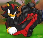 5_toes anthro black_body black_soles feet fluffy_chest foot_fetish foot_focus green_hill_zone humanoid_feet looking_at_viewer male male_feet outside plantigrade red_body red_soles soles solo spread_toes toes two_tone_feet wrinkled_feet wrinkles elricalde sega sonic_the_hedgehog_(series) shadow_the_hedgehog eulipotyphlan hedgehog mammal hi_res