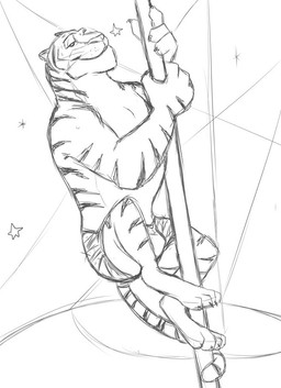anthro barefoot bottomwear bulge claws clothed clothing dancing feet male pole pole_dancing shorts simple_background smile smirk solo stage star stripes tail_around_pole toe_claws topless whiskers white_background zootopia_shorts thegreatmatsutzu disney zootopia tiger_dancer_(zootopia) felid mammal pantherine tiger black_and_white monochrome sketch
