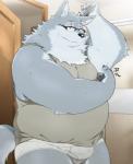 anthro belly black_nose briefs bulge clothing eyewear glasses humanoid_hands male overweight overweight_anthro overweight_male shirt solo tighty_whities topwear underwear white_briefs white_clothing white_underwear hinami canid canine canis mammal wolf 2016