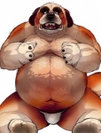 belly canine chubby dog fundoshi male moobs obese overweight plain_background sitting solo topless underwear wantaro white_background
Rating: Questionable
Score: 7
User: toboe
Date: June 15, 2013