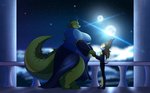 clothing dress duo moon night sky star robthehoopedchipmunk rob_(rthc) canid canine canis crocodile crocodilian domestic_dog mammal reptile scalie hi_res