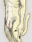 abs anthro balls claws flaccid foreskin fur genitals humanoid_genitalia humanoid_penis long_foreskin male penis simple_background solo stripes tail tan_body tan_fur lionsilverwolf felid hybrid liger lion mammal pantherine 2012 sketch