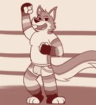 anthro armwear black_nose clothed clothing fighting_ring fur hair jockstrap legwear looking_at_viewer male simple_background smile solo underwear wrestling destona fidget_the_fox canid canine fox mammal digital_media_(artwork) hi_res sketch