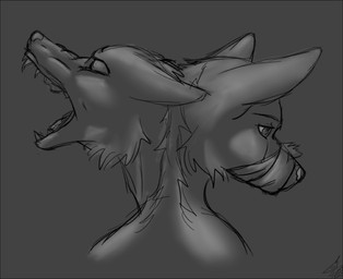 2_heads angry bodily_fluids crying duo female feral gag gagged howl multi_head muzzle_(object) muzzled open_mouth pose roaring sad tape tape_gag tape_muzzle tears teeth kyuushi canid canine canis mammal wolf 2010 greyscale monochrome