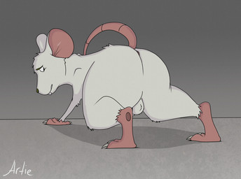 animal_genitalia anthro anus balls butt crouching feral fur genitals hair looking_at_viewer male nude solo tail artietheartbull mammal mouse murid murine rat rodent absurd_res digital_media_(artwork) hi_res