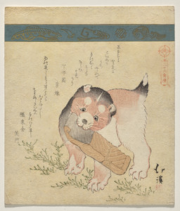ambiguous_feral ambiguous_gender claws dewclaw digitigrade dipstick_tail feral finger_claws floppy_ears folded_ears food fur grass head_tilt holding_food holding_object markings paws plant quadruped short_tail simple_background solo standing tail tail_markings text toe_claws whiskers young young_ambiguous young_feral totoya_hokkei canid canine canis domestic_dog mammal 1825 19th_century absurd_res ancient_art hi_res japanese_text traditional_media_(artwork)
