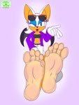 5_toes anthro barefoot bat_wings clothed clothing eyewear eyewear_on_head feet female foot_focus humanoid_feet membrane_(anatomy) membranous_wings one_eye_closed plantigrade soles solo sunglasses sunglasses_on_head toes wings wink podfrog sega sonic_the_hedgehog_(series) the_murder_of_sonic_the_hedgehog rouge_the_bat bat mammal absurd_res hi_res sketch