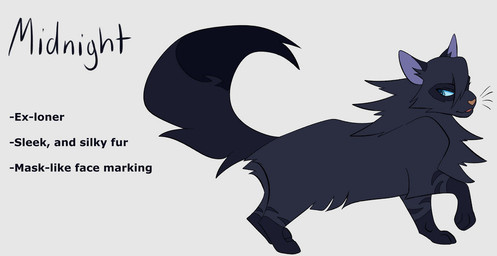 ambiguous_gender black_body black_fur blue_eyes feral feralized fluffy fluffy_tail fur grey_body grey_fur simple_background solo tail text white_background segamastergirl my_hero_academia warriors_(book_series) midnight_(my_hero_academia) nemuri_kayama domestic_cat felid feline felis mammal 2019 crossover english_text model_sheet