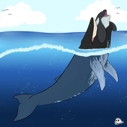 cloud day duo feral horizon oral_vore outside partially_inside sea sky smile swallowing swimming tail_first throat vore water flippin-rad aquatic avian baleen_whale bird cetacean dolphin humpback_whale mammal oceanic_dolphin orca toothed_whale whale 1:1 hi_res