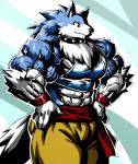 abs anthro belt biceps big_muscles blue_body blue_fur bottomwear bracelet canid canine clothed clothing collar fur huge_muscles hyper hyper_muscles jewelry koruto_(kuroma) kuroma male mammal muscular muscular_anthro muscular_male pants pecs simple_background smile solo triceps white_body white_fur wide_hips