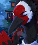 ambiguous_gender anthro blurred_background eyes_closed feathers grey_body grey_feathers mouth_closed night outside red_body red_feathers solo white_body white_feathers corzh77 raiden_(baggotry) avian bust_portrait hi_res portrait