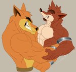 abs anthro bear_hug biceps big_muscles duo fight grey_background male muscular muscular_male pecs simple_background danielswolf1 activision crash_bandicoot_(series) crunch_bandicoot tiny_tiger bandicoot dasyuromorph mammal marsupial recently_extinct_species thylacine hi_res