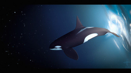 ambiguous_feral ambiguous_gender black_body blue_eyes blue_markings dorsal_fin feral fin flukes logo markings notched_fin pectoral_fin solo star underwater water white_body year wesphin bekuta_(wesphin) aquatic cetacean dolphin mammal oceanic_dolphin orca toothed_whale 2024 artist_logo dated hi_res watermark male_(lore)
