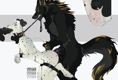 anal anal_penetration animal_genitalia animal_penis anthro anthro_on_anthro anthro_penetrated anthro_penetrating anthro_penetrating_anthro anus backsack balls bdsm biped black_balls black_body black_fur black_nose black_penis black_sclera blue_eyes bodily_fluids bondage bound butt canine_genitalia canine_penis collar cum cum_in_ass cum_inside cutaway dominant dominant_male duo ear_piercing erection facial_piercing fellatio femboy fur genital_fluids genitals group group_sex hair knot leash leash_pull male male/male male_penetrated male_penetrating male_penetrating_male nipple_piercing nipples nose_piercing nose_ring nude oral oral_penetration penetration penile penis piercing pink_nose ring_piercing sex simple_background spitroast standing submissive submissive_male teeth tongue tongue_out white_balls white_hair smooshkin canid canine canis dalmatian domestic_dog mammal wolf signature