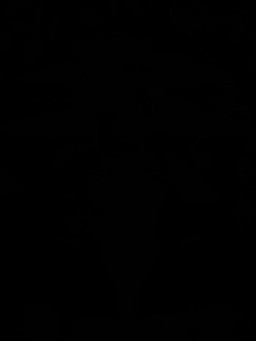 3_toes abdominal_bulge anthro anthro_on_anthro anthro_penetrated anthro_penetrating anthro_penetrating_anthro anthro_pov areola barefoot bed bodily_fluids bouncing_breasts breasts cervical_penetration cervix consistent_pov cum cum_in_uterus cum_in_vagina cum_inside duo egg egg_in_uterus feet female female_anthro female_penetrated first_person_view from_front_position furniture genital_fluids genitals green_areola green_eyes green_nipples green_vulva heart_eyes heart_symbol hindpaw holding_partner humanoid_genitalia humanoid_vulva impregnation inside_uterus internal internal_vaginal looking_at_viewer lying male male/female male_anthro male_penetrating male_penetrating_female male_pov medium_breasts mismatched_genitalia mismatched_humanoid_vulva mismatched_vulva missionary_position navel nipples nude nude_anthro nude_female nude_male on_back on_bed oviposition pawpads paws penetrating_pov penetration penile penile_penetration penis_in_vagina pregnant rapid_pregnancy sex soles spread_legs spreading toes uterus vaginal vaginal_penetration vulva chikrazy blender_cycles made_in_abyss avarien krazichi avali lagomorph mammal narehate 3:4 3d_(artwork) 3d_animation animated blender_(artwork) digital_media_(artwork) hi_res high_framerate huge_filesize long_playtime no_sound webm