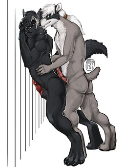 against_surface against_wall animal_genitalia animal_penis anthro athletic athletic_anthro athletic_male black_body black_fur black_hair brown_eyes canine_genitalia canine_penis countershade_neck countershade_torso countershading duo erection fur genitals grey_body grey_fur hair imminent_anal knot knotted_penis looking_at_viewer male male/male male_anthro nude nude_anthro nude_male penis ponytail sheath simple_background smile standing tail teeth white_body white_fur white_hair i-psilone badger canid canine canis european_badger mammal meles mustelid musteline wolf 2015