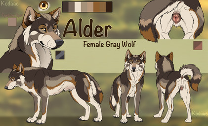 animal_genitalia animal_vulva anus black_nose blurred_background brown_body brown_fur brown_vulva canine_genitalia canine_vulva cheek_tuft chest_tuft color_swatch facial_tuft female female_feral feral front_view fur genitals looking_at_viewer mouth_closed orange_eyes rear_view side_view solo text tuft vulva whiskers white_body white_fur kodaac canid canine canis mammal wolf artist_name english_text hi_res model_sheet