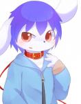 anthro big_ears blush clothing collar fur jacket kemono leash looking_at_viewer male open_mouth red_eyes simple_background solo topwear white_background white_body white_fur young young_anthro zipper aoino lagomorph leporid mammal rabbit hi_res