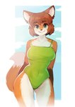 anthro breasts clothed clothing dipstick_tail female female_anthro fur gloves_(marking) hair looking_at_viewer markings multicolored_body multicolored_fur one-piece_swimsuit short_hair smile smiling_at_viewer solo swimwear tail tail_markings color_fox canid canine fox mammal 2024 absurd_res digital_media_(artwork) hi_res portrait three-quarter_portrait