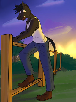 anthro black_body black_fur bottomwear clothed clothing denim denim_bottomwear denim_clothing fence fully_clothed fur jeans male outside pants rural shirt solo sunset tank_top topwear fuze texnatsu sam_jackson equid equine horse mammal 3:4 hi_res