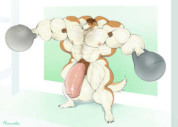 4_toes abs anthro areola armpit_hair balls barazoku belly_hair biceps big_balls big_muscles big_pecs big_penis biped black_nose body_hair brown_armpit_hair brown_body brown_ears brown_fur brown_hair brown_pubes calf_muscles chest_hair chest_tuft claws closed_smile countershade_arms countershade_face countershade_fur countershade_legs countershade_tail countershade_torso countershading deltoids exercise eyebrows eyes_closed feet fingers flaccid floppy_ears forearm_muscles foreskin fur genitals glans hair holding_weights huge_balls huge_muscles huge_penis humanoid_genitalia humanoid_hands humanoid_penis hyper hyper_balls hyper_genitalia hyper_muscles hyper_penis kettlebell latissimus_dorsi male male_anthro manly mouth_closed multicolored_body multicolored_fur muscular muscular_anthro muscular_arms muscular_male muscular_thighs nipples nude nude_anthro nude_male number partially_retracted_foreskin pecs penis pink_areola pink_glans pink_nipples pink_penis plantigrade pubes quads smile solo standing tail three-quarter_view toe_claws toes trapezius tuft two_tone_body two_tone_fur vein veiny_muscles veiny_penis weightlifting white_balls white_body white_countershading white_fur workout purrcules_(artist) benji_(cptmcsausage) borzoi canid canine canis domestic_dog hunting_dog mammal sighthound digital_drawing_(artwork) digital_media_(artwork) full-length_portrait hi_res portrait shaded signature
