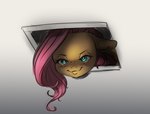 ceiling female feral freckles fur hair hole_in_ceiling paintover pink_hair solo yellow_body yellow_fur miokomata third-party_edit ceiling_cat friendship_is_magic hasbro my_little_pony fluttershy_(mlp) equid equine mammal absurd_res hi_res meme