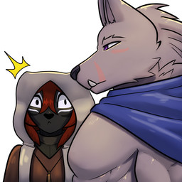 anthro big_muscles black_body black_fur brown_body brown_fur duo fur hair hood male male_anthro muscular muscular_anthro muscular_male red_hair scar scarf shirtless shirtless_anthro shirtless_male snout bear213 elden_ring fromsoftware blaidd_(elden_ring) canid canine canis domestic_cat felid feline felis mammal wolf 1:1 half-length_portrait portrait