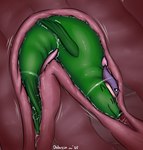anal anal_vore bodily_fluids clothing cum erection eyes_closed feral feral_prey fully_inside genital_fluids genitals green_body guts hat headgear headwear internal intestines male male_feral male_prey organs penis purple_clothing purple_hat purple_headwear soft_vore solo tapering_penis vore year dolorcin schallferin_(orcinusproductions) mammal marine pinniped sea_lion 2025 hi_res