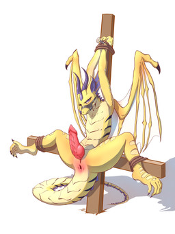 anthro anus bdsm bondage bound cross genitals inverted_cross male penis restraints rope rope_bondage simple_background solo spread_legs spreading tail white_background ktk's_sky blizzard_entertainment european_mythology mythology warcraft dracthyr dragon mythological_creature mythological_scalie scalie western_dragon absurd_res hi_res