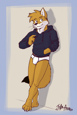 anthro bulge clothed clothing fur hand_in_pocket hoodie looking_at_viewer male multicolored_body multicolored_fur pantsless pockets simple_background solo standing tail topwear underwear whiskers juan_atoq meme_clothing atoq_(juanatoq) canid canine culpeo_fox fox mammal south_american_fox hi_res meme signature
