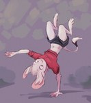 acrobat belly big_ears bottomwear clothed clothing female handstand midriff shirt shorts simple_background solo tail topwear animancer luck_(animancer) dipodid jerboa mammal rodent hi_res sketch