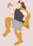 anthro bottomwear clothing countershading fur male multicolored_body multicolored_fur muscular muscular_anthro muscular_male shirt shorts solo tank_top topwear sakehabera lifewonders live_a_hero barrel_(live_a_hero) canid canine canis mammal wolf absurd_res hi_res