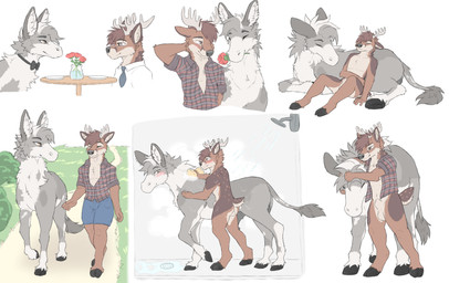 animal_genitalia animal_penis anthro anthro_on_feral antlers assisted_bathing balls barely_visible_genitalia barely_visible_penis bestiality blush blush_lines bow_tie brown_body brown_fur cheek_tuft date dating dinner_date duo equine_genitalia equine_penis facial_tuft feral flower fluffy fluffy_ears fluffy_mane fully_sheathed fur genitals grey_body grey_fur happy headpat hooves horn interspecies interspecies_romance laying_on_another lying male male/male male_anthro male_feral male_on_feral mane neck_tuft necktie outside penis petting plant plate quadruped romantic romantic_ambiance romantic_couple rose_(flower) sheath shower sponge suds tail tail_tuft tuft walking white_body white_fur gushoafterdark flicker_(wasd65) asinus deer donkey equid equine mammal 2024 absurd_res hi_res multiple_scenes