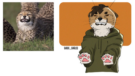anthro brown_hair clothing feral fur green_clothing green_sweater green_topwear hair male orange_body orange_fur paws solo sweater text topwear basic_eagles_(artist) cheetah felid feline mammal 16:9 english_text hi_res widescreen
