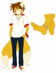 anklet anthro biped blue_eyes brown_hair clothed clothing hair hoodie jewelry looking_at_viewer male multi_tail necklace simple_background smile solo standing tail topwear white_background conditional_dnp vilani ashura_(character) canid canine fox mammal 2013