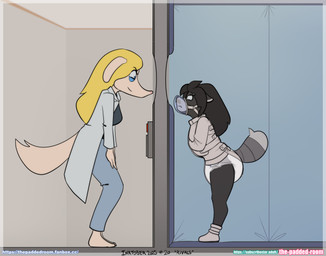 anthro asylum bdsm bondage bound clothed clothing diaper doctor duo female female/female hospital medical muzzle_(object) padded_room restraints straitjacket the_padded_room esmeralda_kingsley ludivine_laminelle canid canine mammal procyonid raccoon absurd_res hi_res